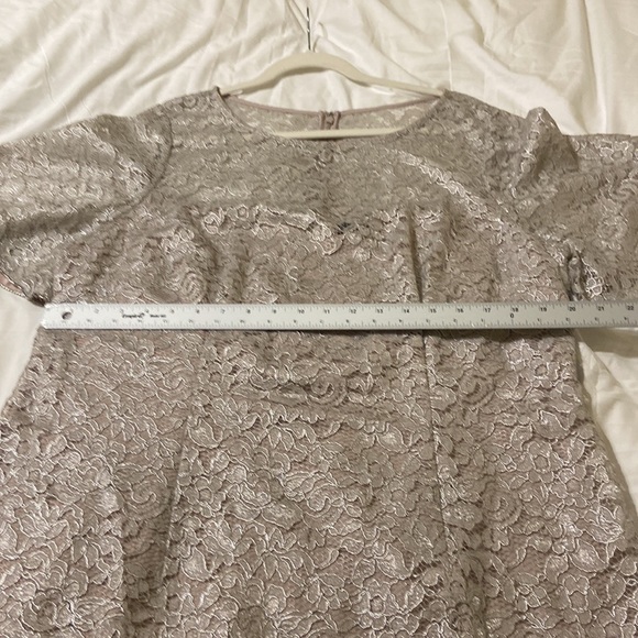 Adrienna Pappell Lace Dress Sz 18W NWT Color Icy Lilac gray very pretty holiday - Picture 13 of 17